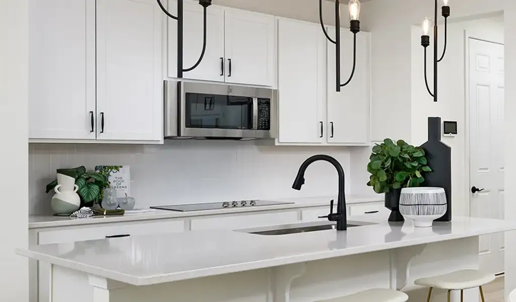 Coronado-733-WildernessShores Kitchen