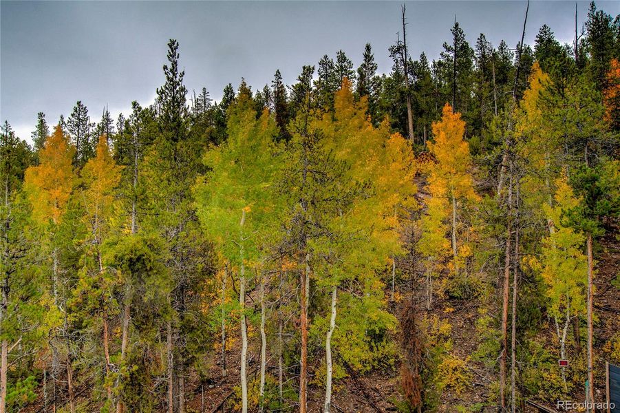Natural landscape and outdoor views near in Twin Lakes (Image 33). Natural landscape and outdoor views near in Twin Lakes (Image 33).