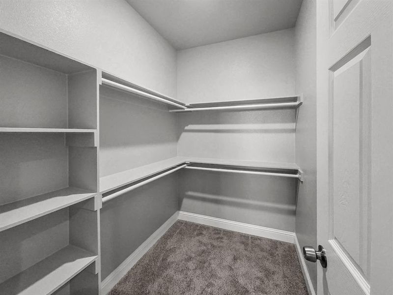 Primary bedroom has spacious closet featuring dark carpet Primary bedroom has spacious closet featuring dark carpet