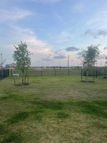 Natural landscape and outdoor views near Sunterra in Katy (Image 33).