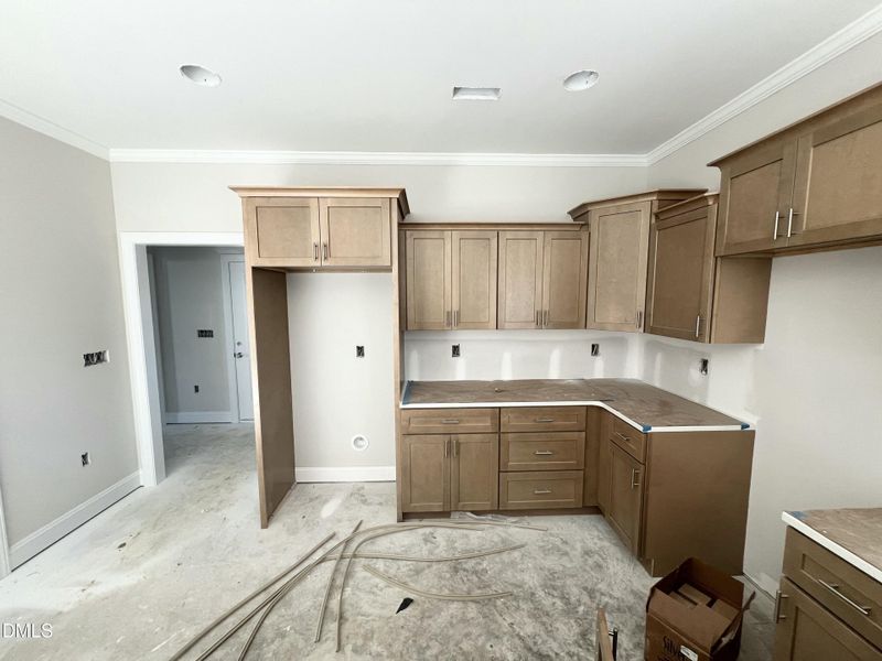 IMG_7105 2 IMG_7105 2