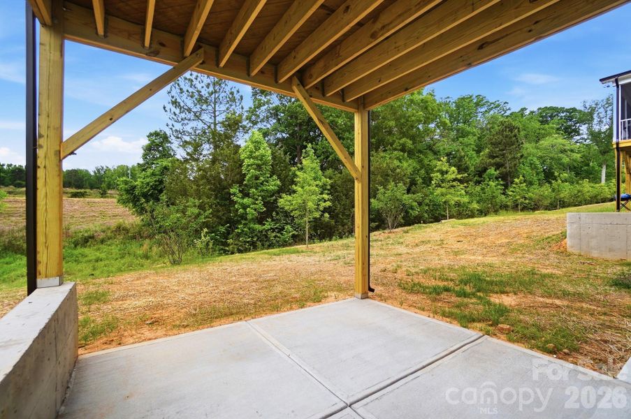 Basement Patio