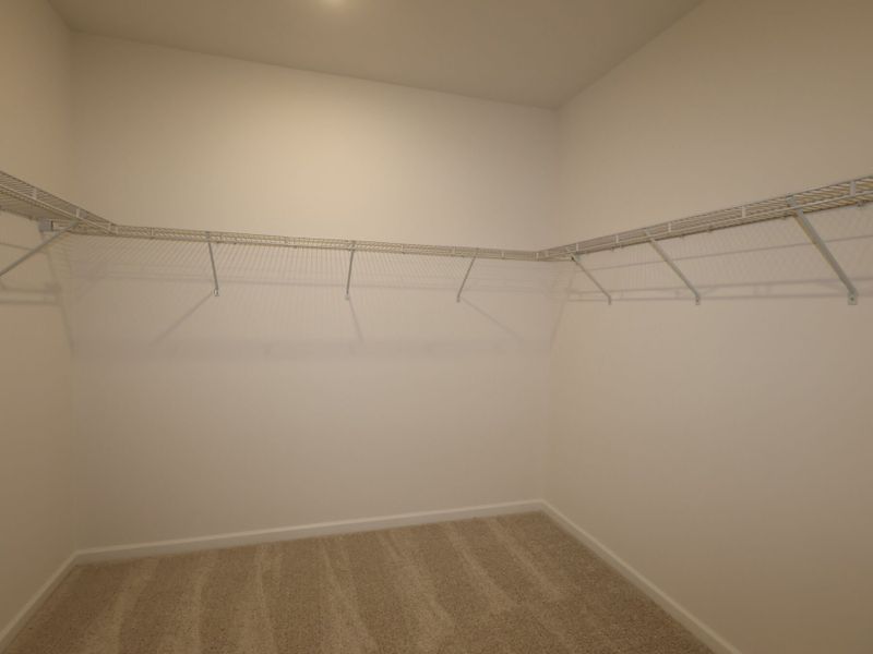 Owner's Closet