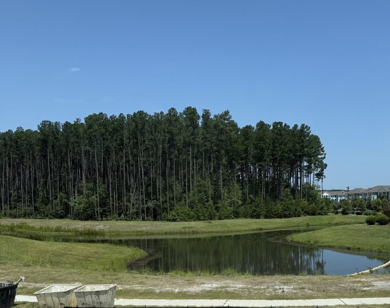 Image 53 of a home in Nexton. Image 53 of a home in Nexton.