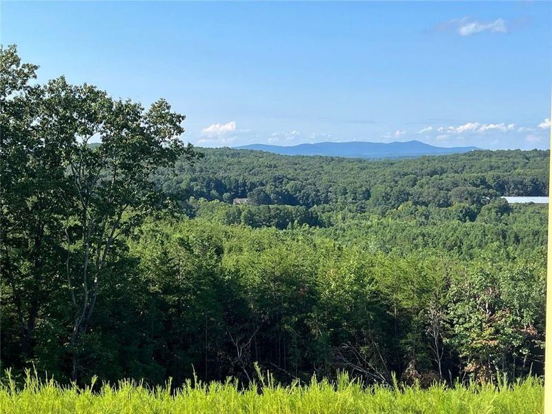 Natural landscape and outdoor views near Horizon at Laurel Canyon in Canton (Image 20).