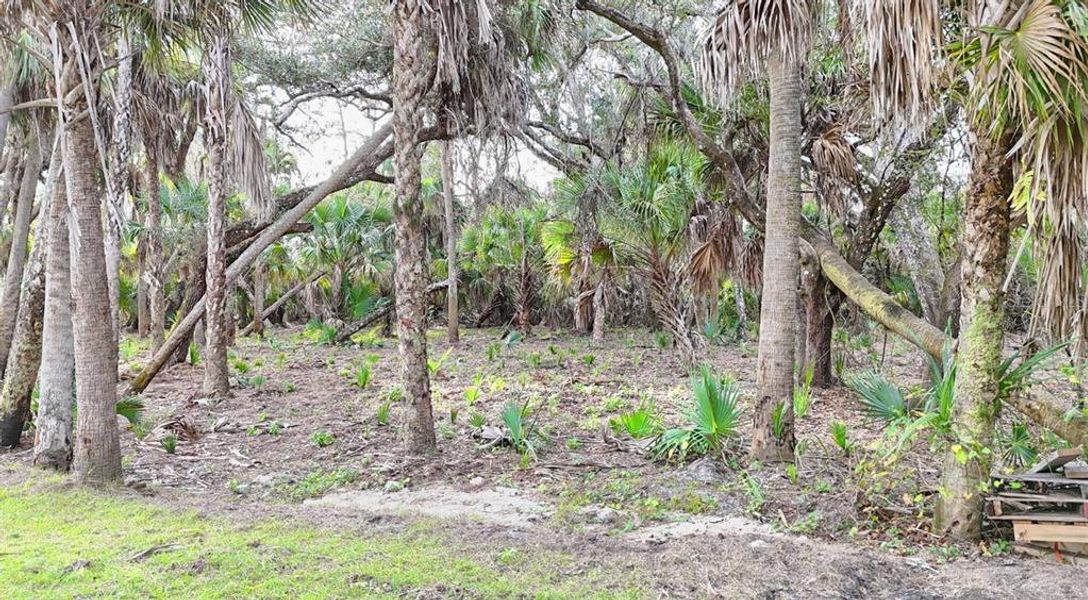Natural landscape and outdoor views near  in North Port (Image 45).