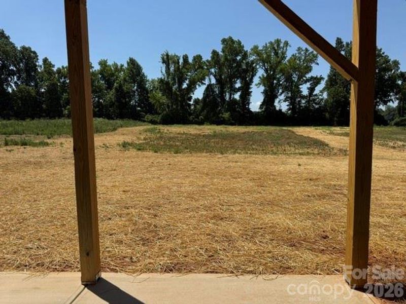 Overlooking large 1.01 acre lot! Overlooking large 1.01 acre lot!
