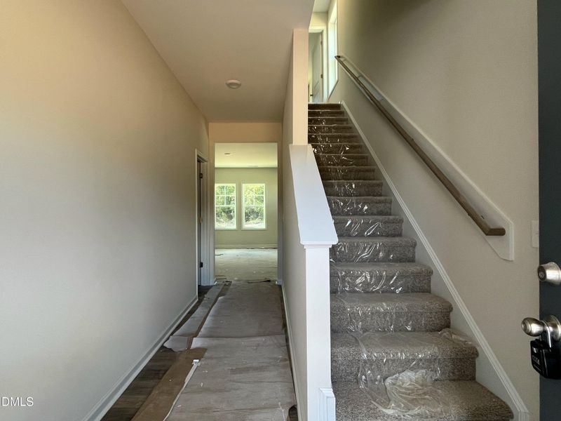 Lot 55 (09_18_25)(Entry) Lot 55 (09_18_25)(Entry)