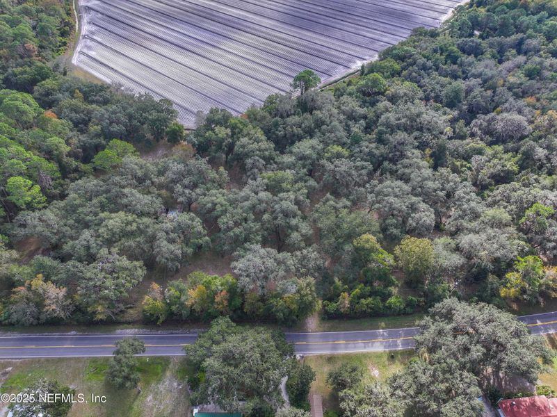 Natural landscape and outdoor views near in St. Augustine (Image 27). Natural landscape and outdoor views near in St. Augustine (Image 27).