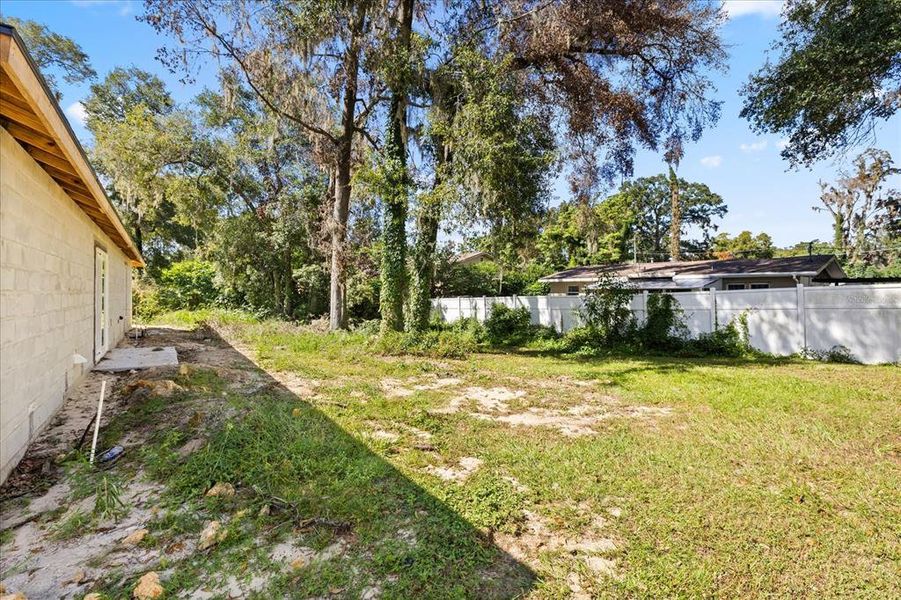 Natural landscape and outdoor views near  in Ocala (Image 27).