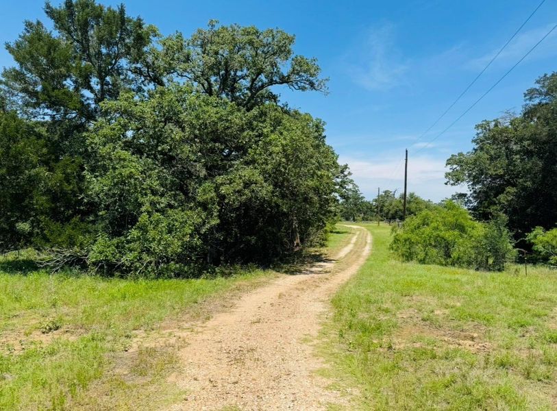 Natural landscape and outdoor views near  in Lexington (Image 38).