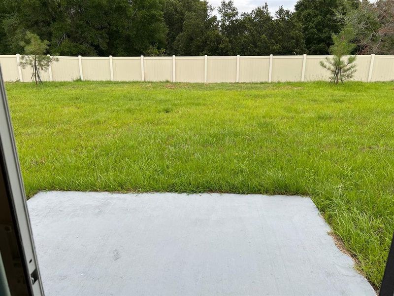 Exterior details and patio area of a home in Epperson, Wesley Chapel (Image 22).