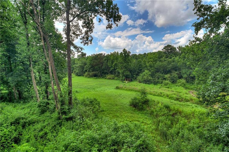 Natural landscape and outdoor views near in Ellijay (Image 137). Natural landscape and outdoor views near in Ellijay (Image 137).