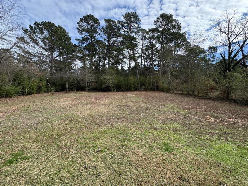 Natural landscape and outdoor views near  in Marshall (Image 10).