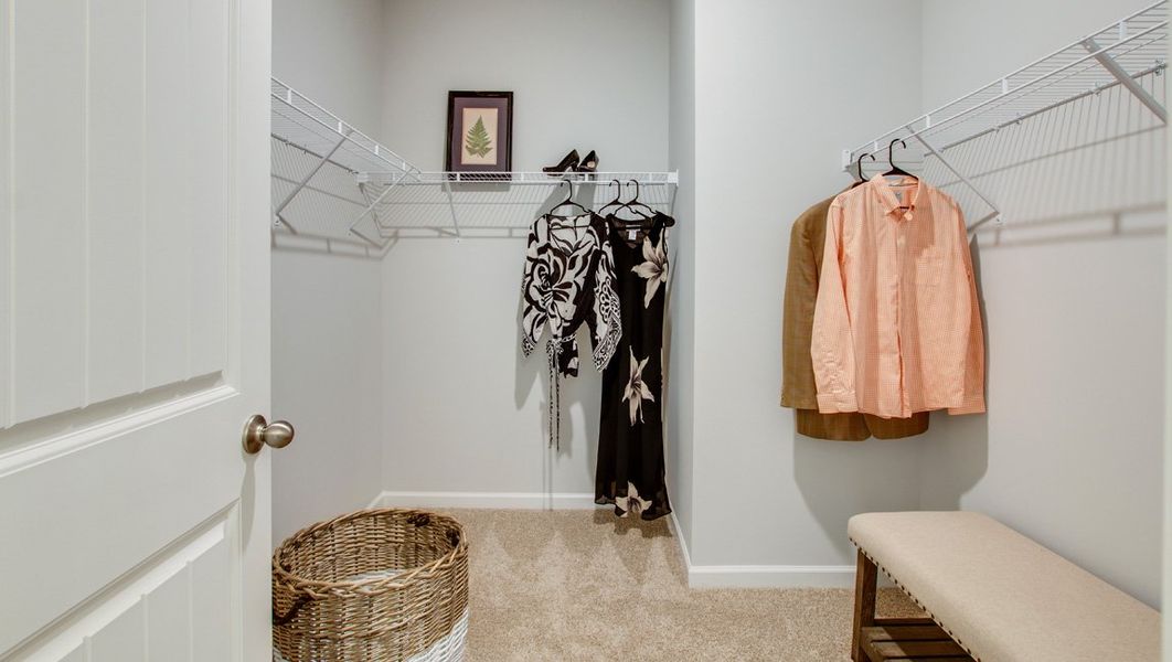 Image 26 representing the SALEM by D.R. Horton in Nexus North, Gallatin, TN.