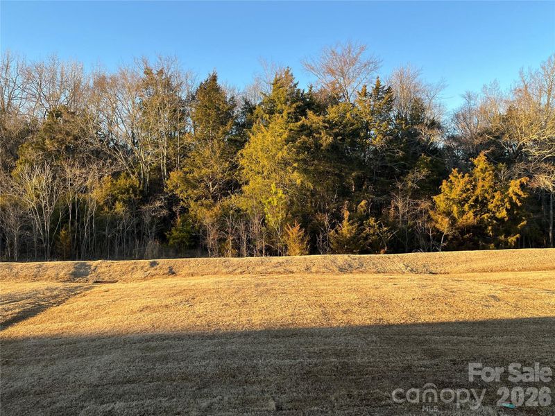 Natural landscape and outdoor views near Parkside Crossing in Charlotte (Image 20).