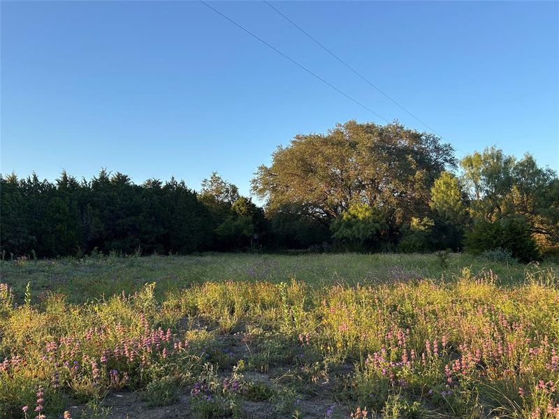 Natural landscape and outdoor views near  in Goldthwaite (Image 16).