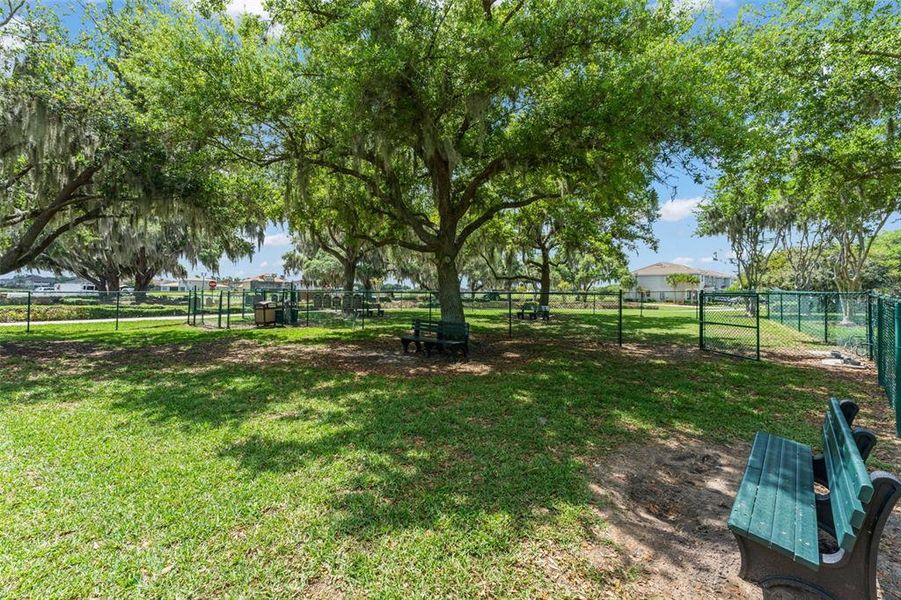 Natural landscape and outdoor views near in Kissimmee (Image 36). Natural landscape and outdoor views near in Kissimmee (Image 36).