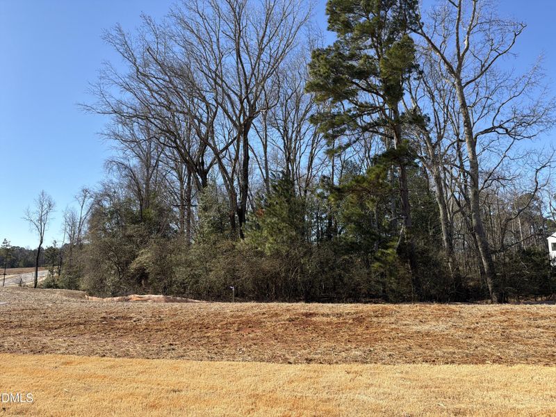 Photo_Feb_07_26 11-05-21 AM