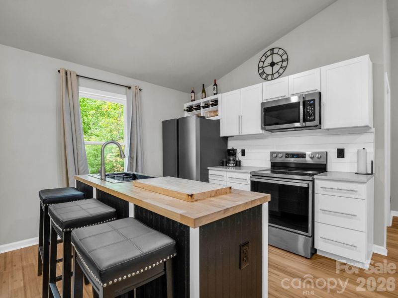 257 Roadrunner Circle Lake Lure NC 28746-13