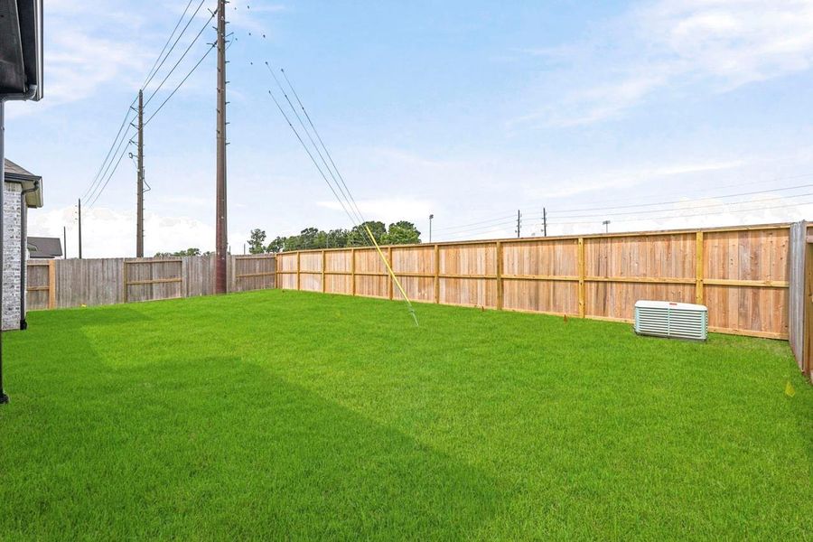 Backyard Backyard