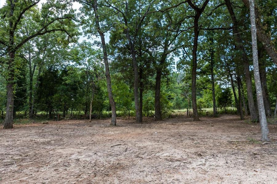 Natural landscape and outdoor views near  in Malakoff (Image 11).