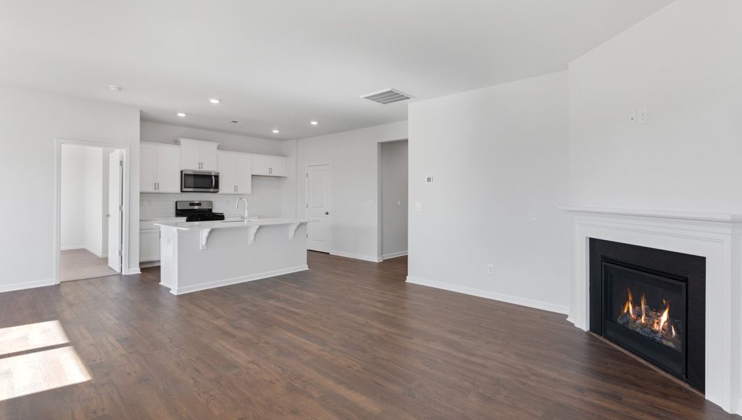 Image 22 representing the Aria by D.R. Horton in Woodglen, Piedmont, SC.