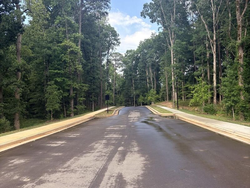 Natural landscape and outdoor views near Woodland Crossing in Zebulon (Image 38).