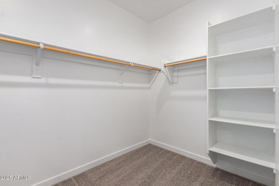 22 - Vogel 22 - Vogel