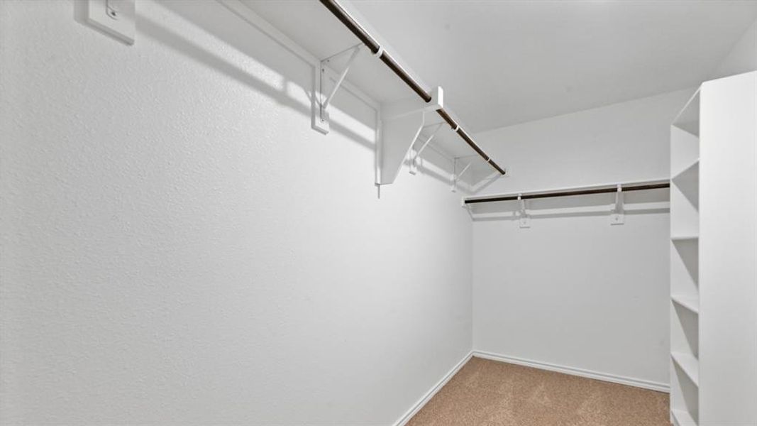 Walk-in closet featuring built-in shelving, multiple hanging rods, and neutral-toned carpeting