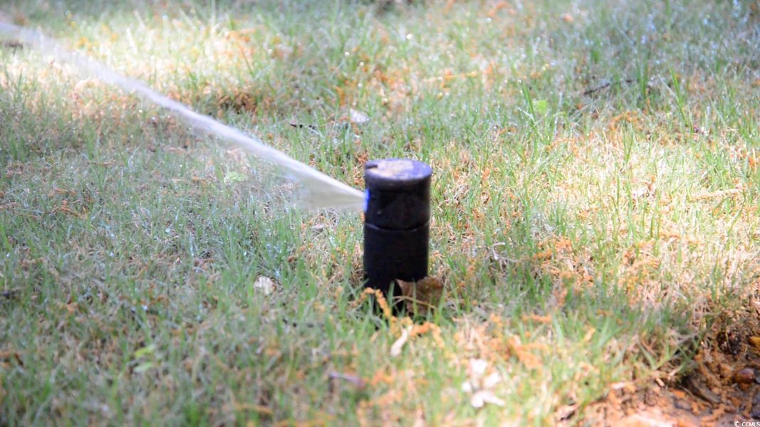 Natural landscape and outdoor views near Westfield in Conway (Image 30).