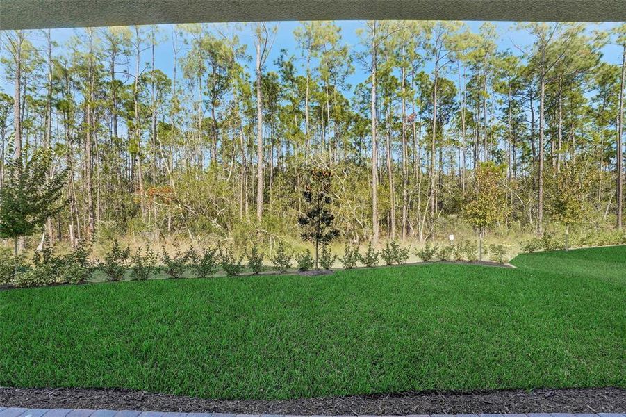 Natural landscape and outdoor views near Palms at Windermere in Windermere (Image 53).