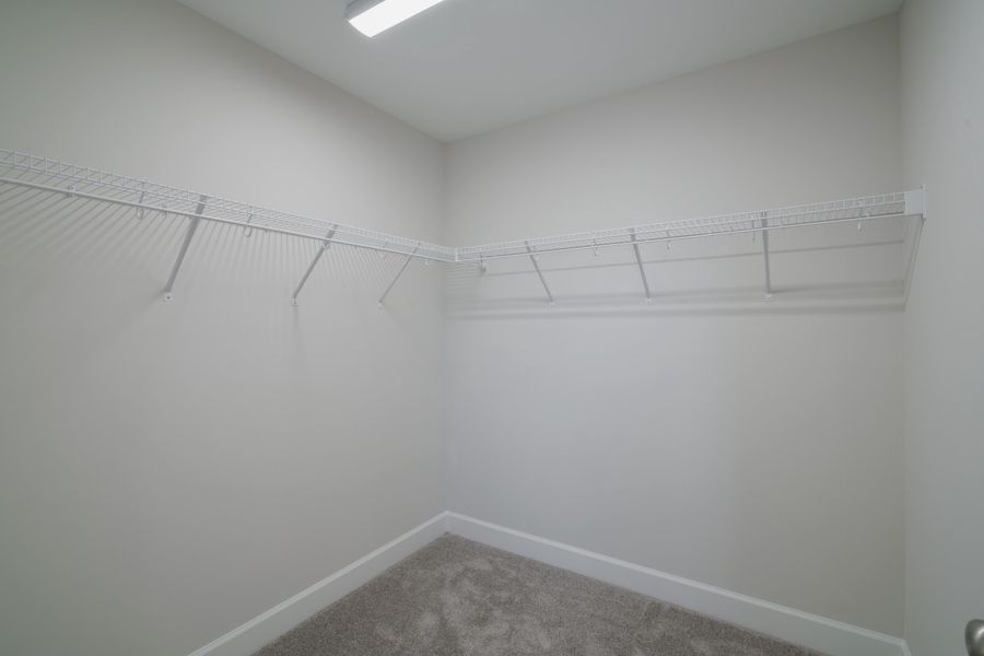 Image 43 representing the The Holland by Cothran Homes in Holly Ridge, Greenville, SC.