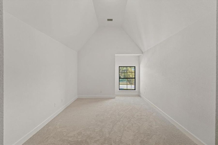 Additional living space featuring light colored carpet and vaulted ceiling