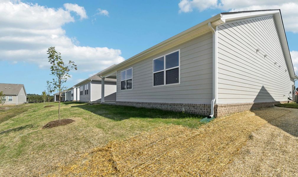 Exterior details and patio area of a home in Cedars at Cane Ridge | 55+ Community, Antioch (Image 4).