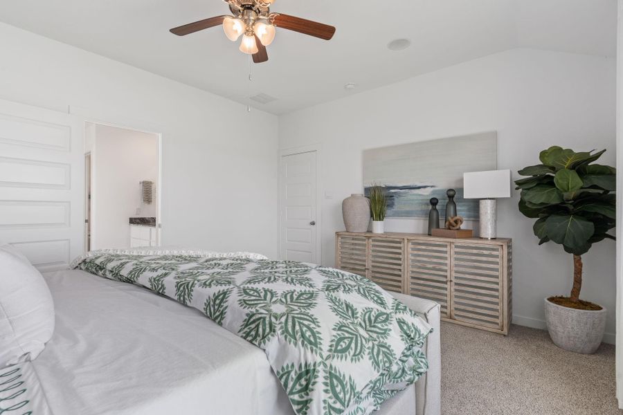 representative photo