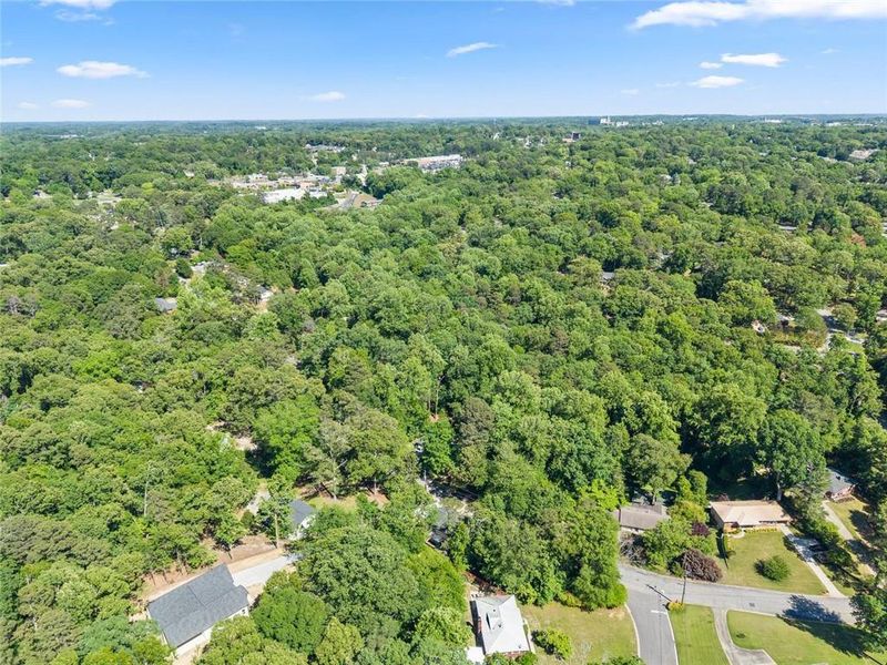 Natural landscape and outdoor views near  in Gainesville (Image 42).