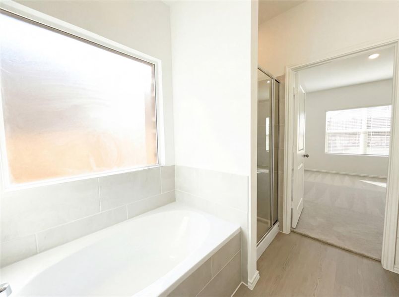 Furnished interior view inside a new home in The Colony, Bastrop (Image 13).