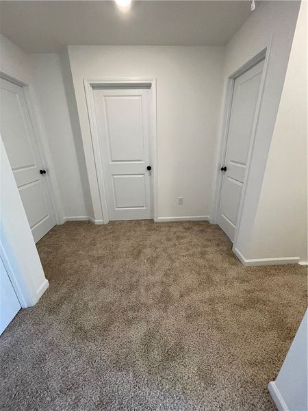 This cozy space features plush carpeting and class