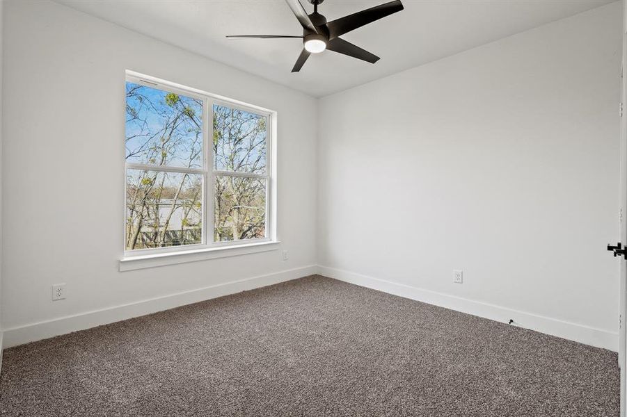 Empty room featuring ceiling fan and carpet floors