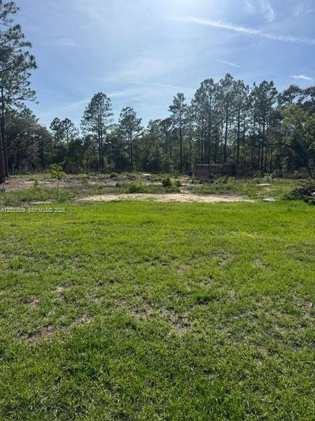 Natural landscape and outdoor views near in Dunnellon (Image 34). Natural landscape and outdoor views near in Dunnellon (Image 34).