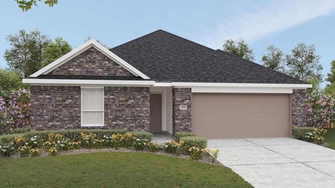 Elevation M Elevation M