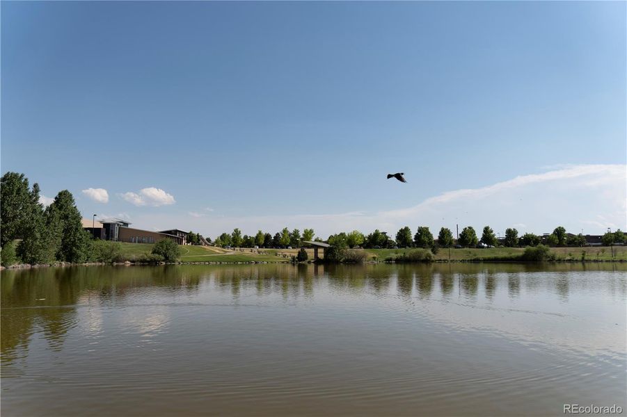 Natural landscape and outdoor views near  in Aurora (Image 43).
