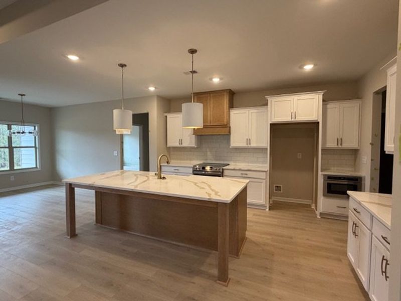 Furnished interior view inside a new home in Blackwelder Bluff, Bowdon (Image 8).