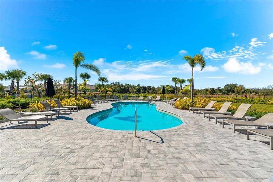 Community amenities in , Sarasota (Image 75). Community amenities in , Sarasota (Image 75).