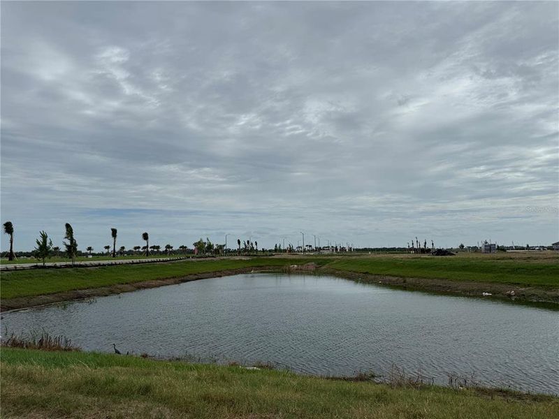 Natural landscape and outdoor views near Coasterra in Palmetto (Image 26).