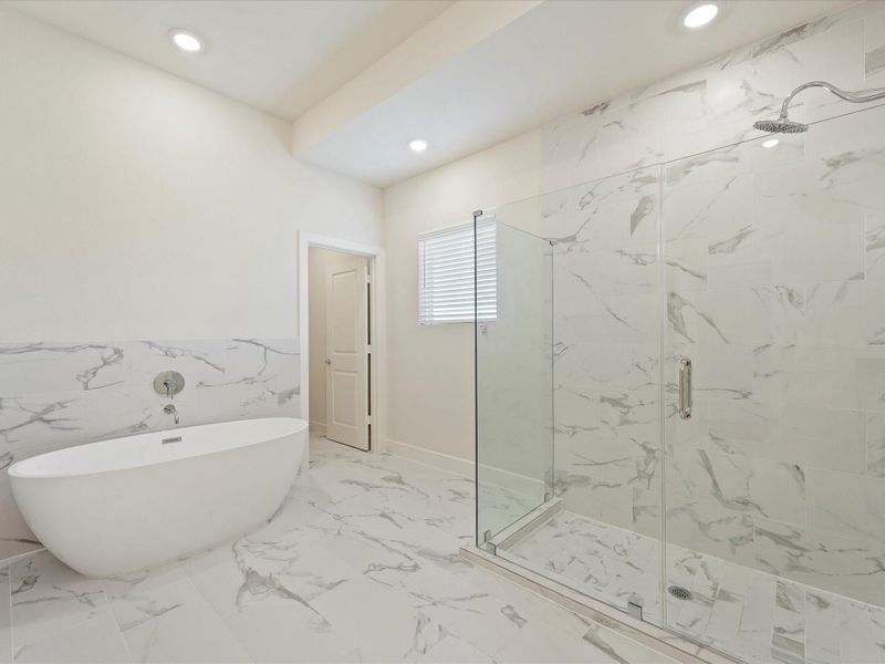 Primary Spa Bathroom
