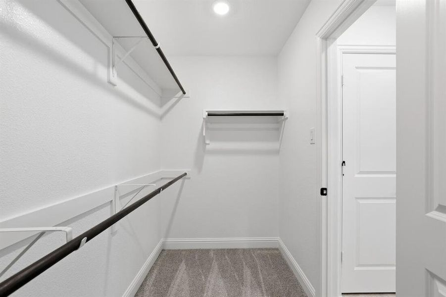 1508 Canter ~ Ready Now