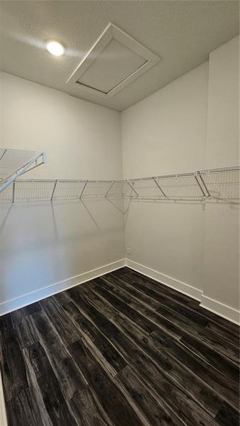 Spacious, unfurnished interior of a new home in , Port Charlotte (Image 14).