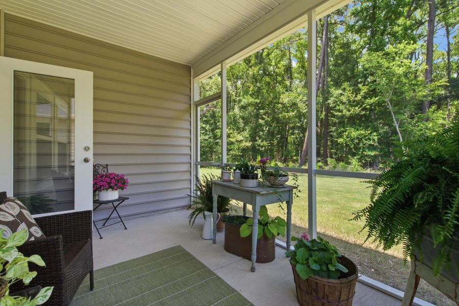 Exterior details and patio area of a home in Horizons at Summers Corner | 55+, Summerville (Image 27).